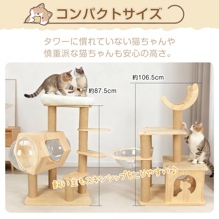 楽天市場】【10(月)迄！10%オフCP】キャットタワー 木製 天然 天然木