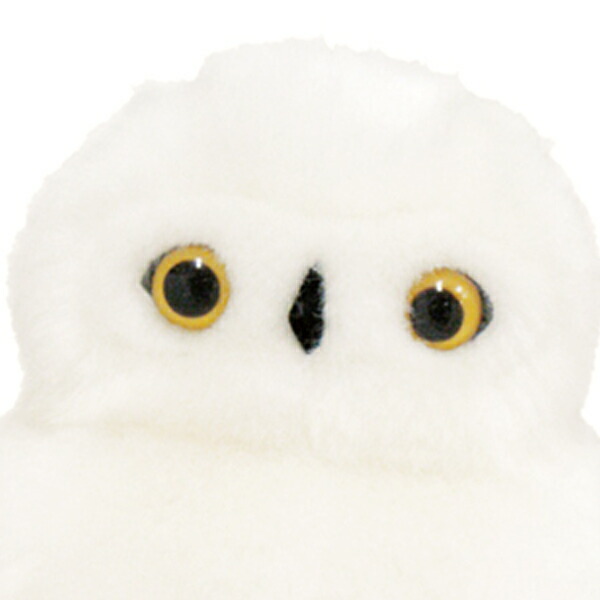 楽天市場】ホワイトフクロウ ぬいぐるみ : キャラグッズ PERFECT WORLD