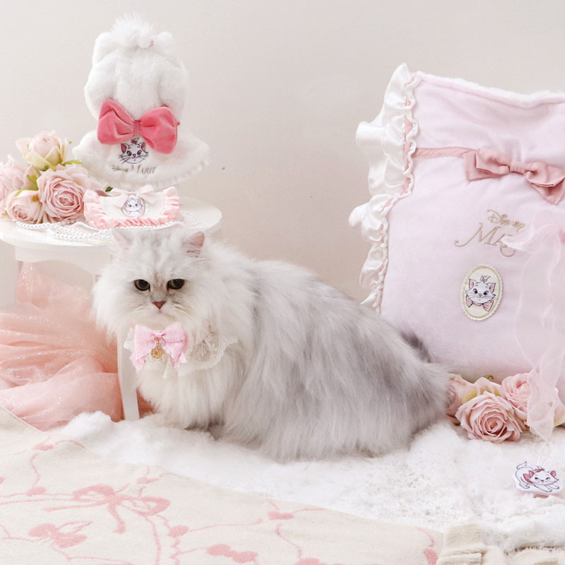 楽天市場】ディズニー おしゃれキャット マリー 猫 首輪 秋 リボン