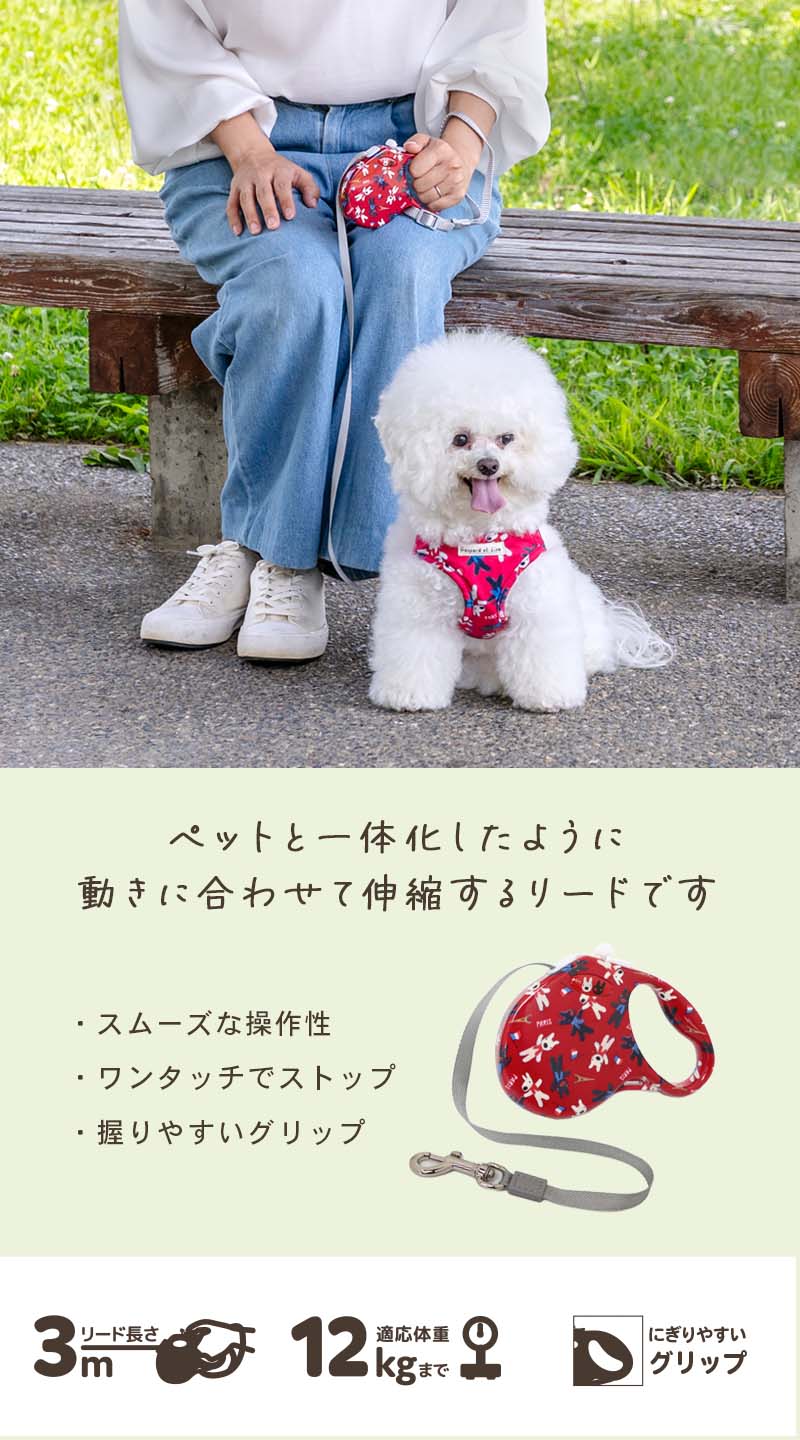 楽天市場】【880円OFF】【ペットパラダイス公式】 リサとガスパール 犬
