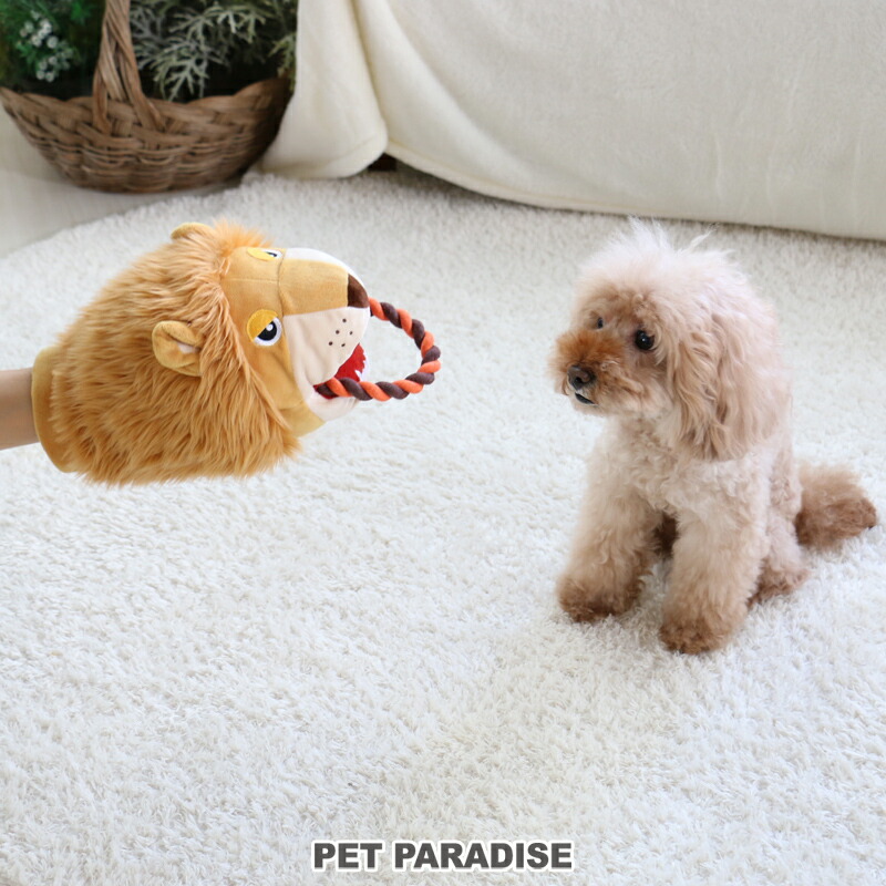 楽天市場】犬 おもちゃ ライオン パペット | おうちで遊ぼう おうち