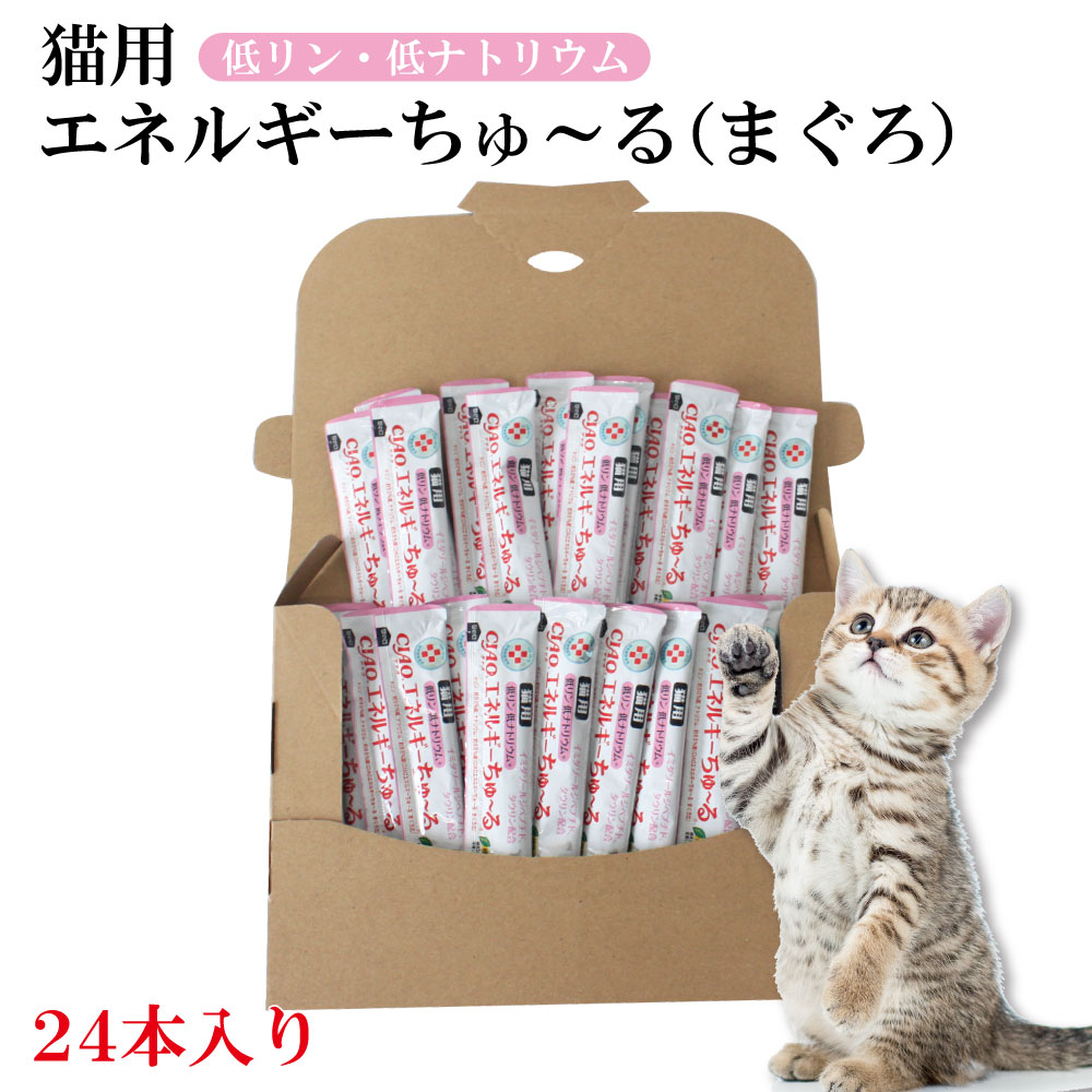 楽天市場】動物病院専用 CIAO 猫用 エネルギーちゅ〜る 低リン低