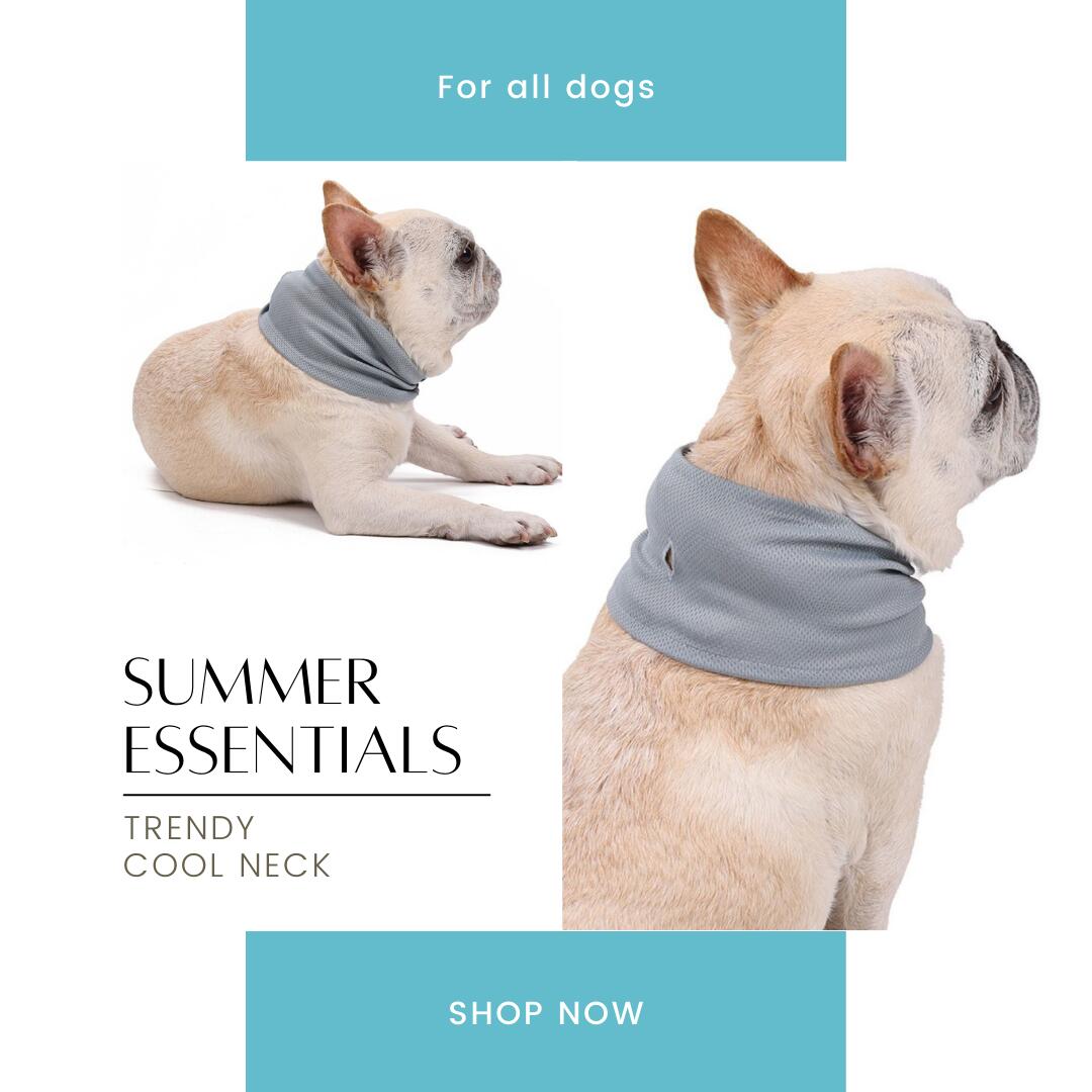楽天市場】犬 夏 クール 冷感 クールネック おしゃれ 夏服 クール 暑さ