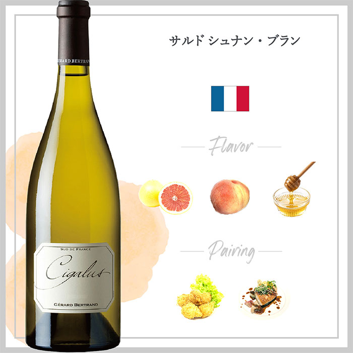 楽天市場】【ピーロート公式】シガリュス ブラン 3本セット ( 2022