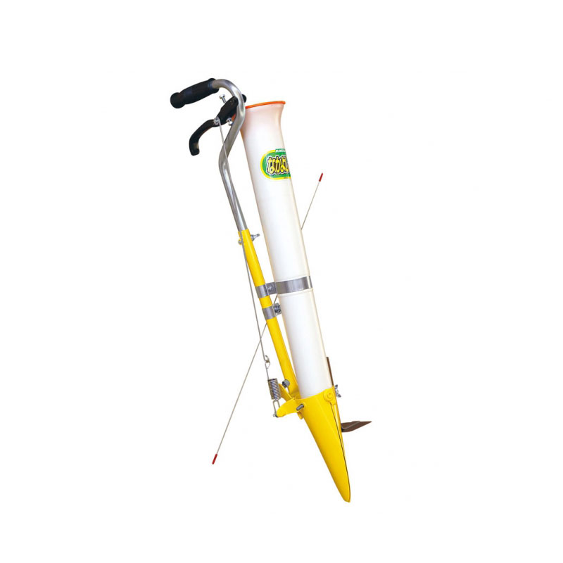 楽天市場】【100%ポイントバック エントリー＆抽選2/25まで】苗 の