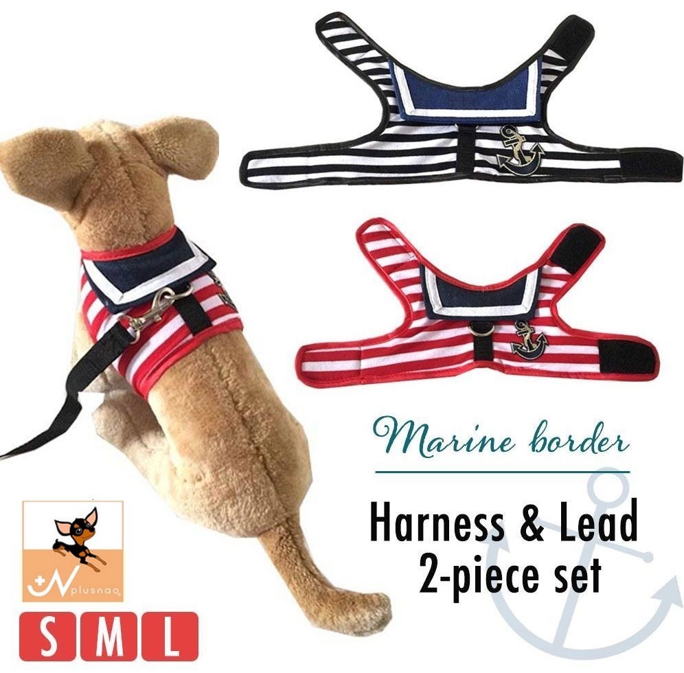 リード＆ハーネス2点SET❗️レッドミニタリー 【公式通販】