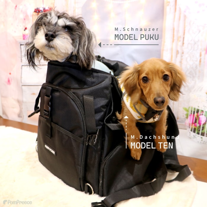 値下げ！【超美品】犬 多機能 ペットキャリー リュック POMP CARRY 鞄
