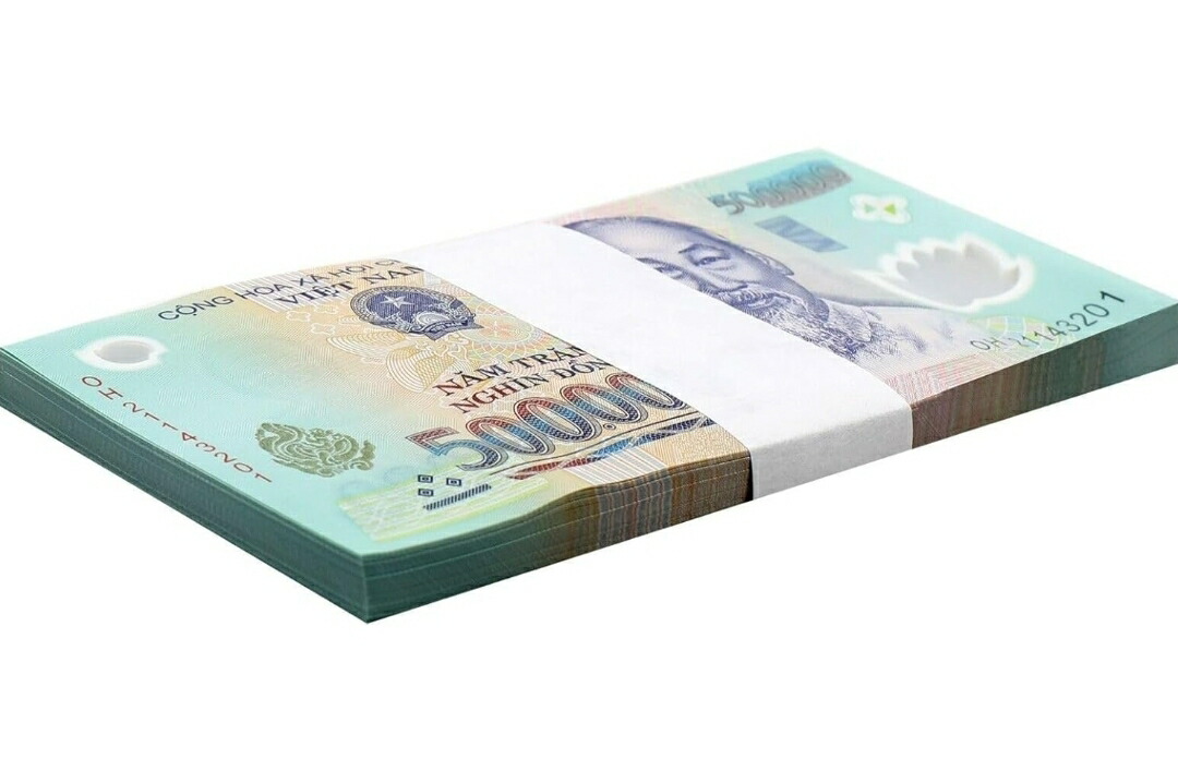 ベトナム紙幣 外国紙幣 ベトナムドン 【公式通販】