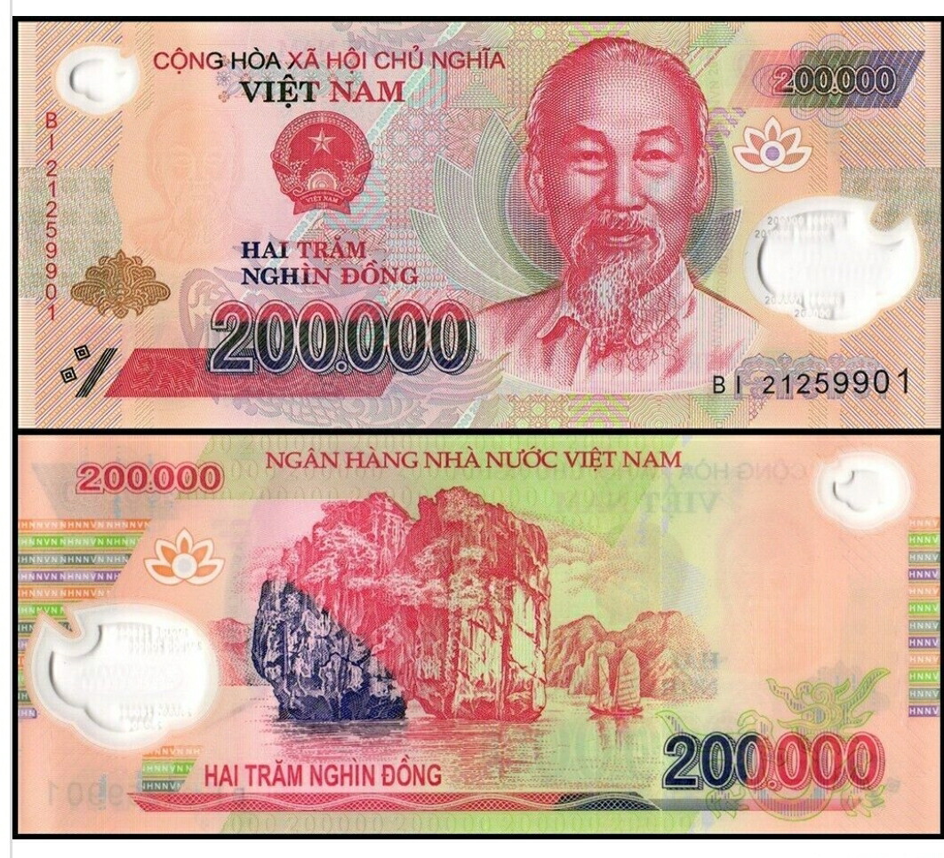 ベトナム紙幣 外国紙幣 ベトナムドン 【公式通販】