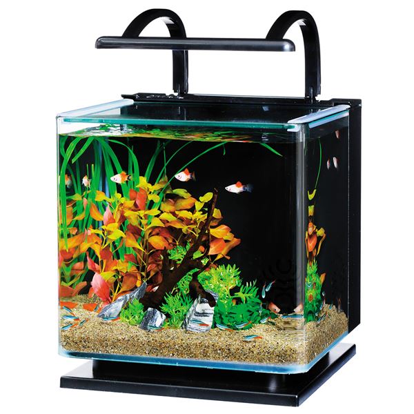 楽天市場】テトラ (tetra) リビングキューブ 20 オールインワン水槽の通販