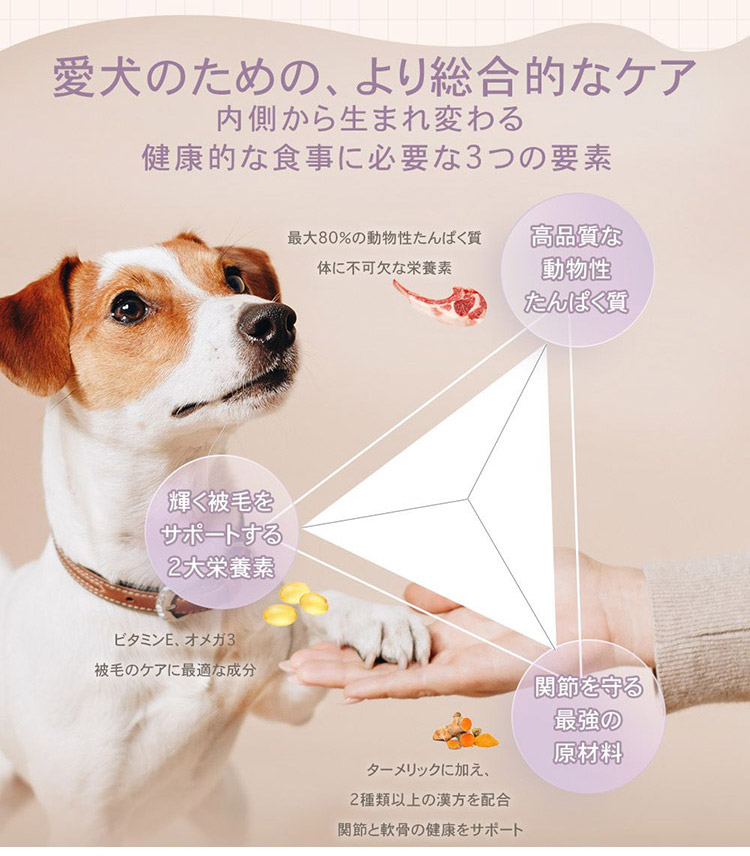 楽天市場】CHARM チャーム ラム&サーモンドッグ 10kg 犬用 いぬ用