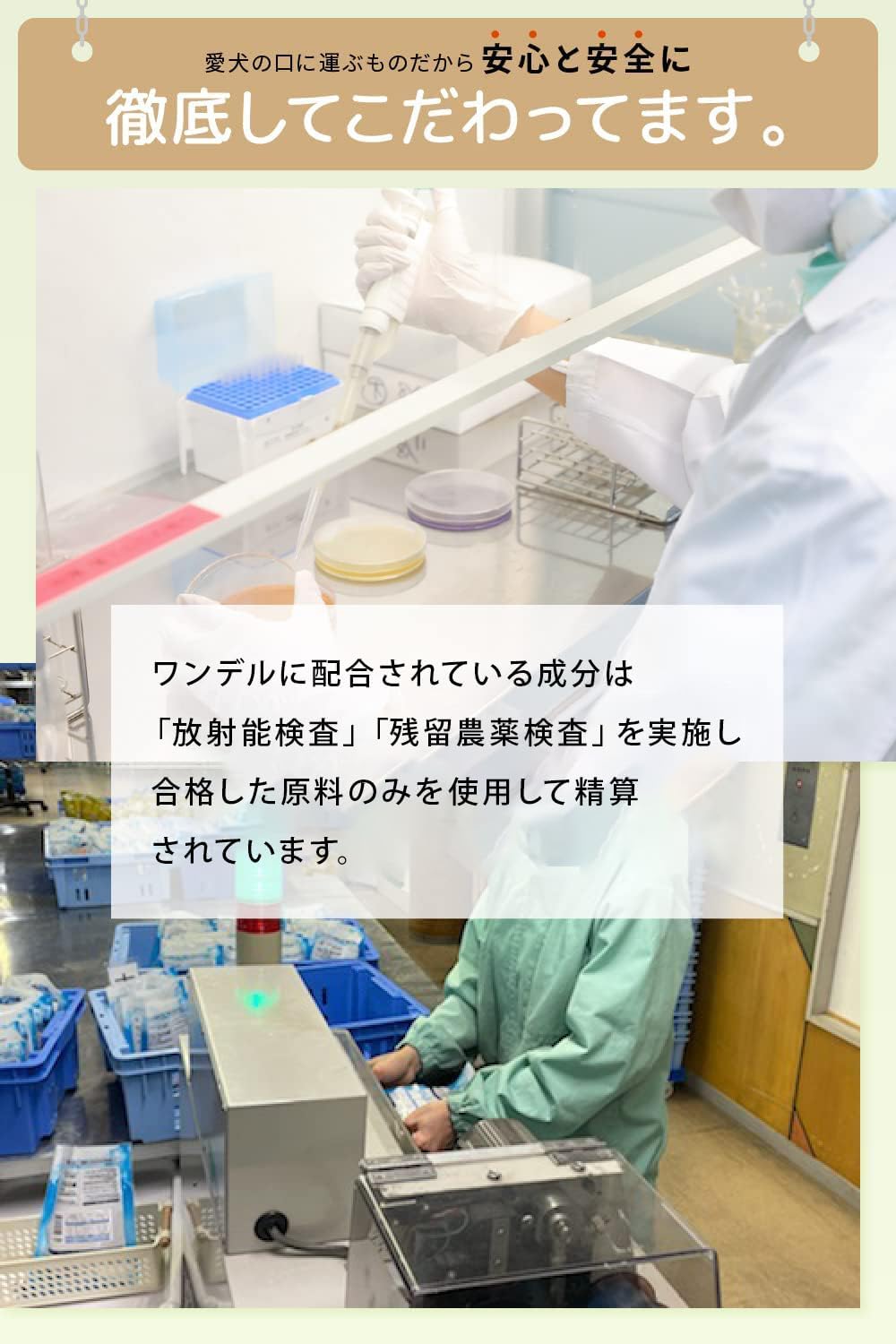 楽天市場】【公式】Dr.wandel plus ドクターワンデルプラス 30g 1本 約