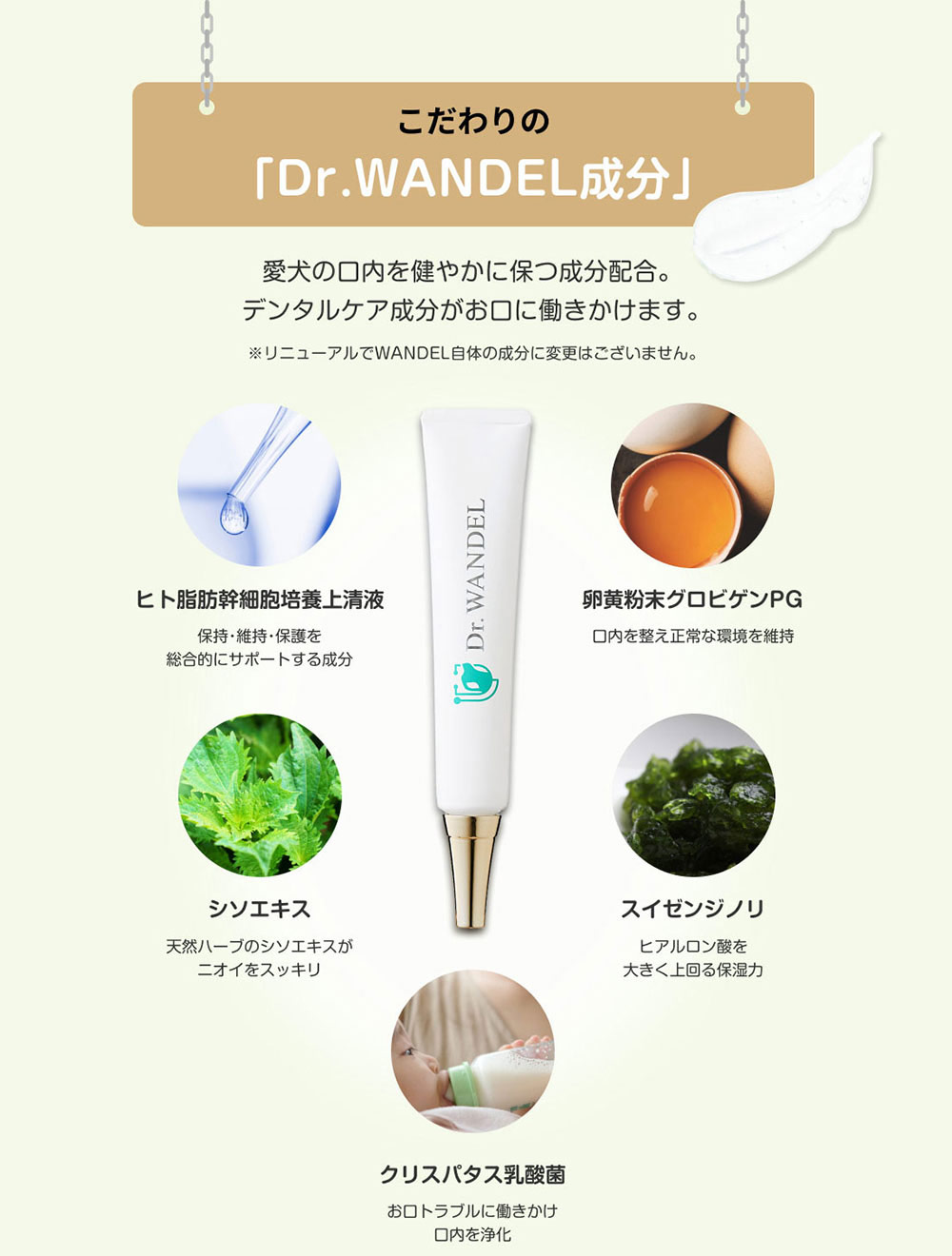 楽天市場】【公式】【メディアで話題】 Dr.wandel ドクターワンデル