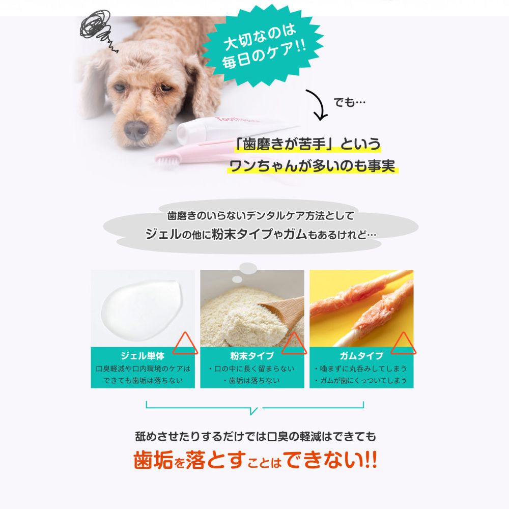 Dr. WANDEL イヌ用口腔ジェル ワンデルのみ 5本セット Amazon.co.jp