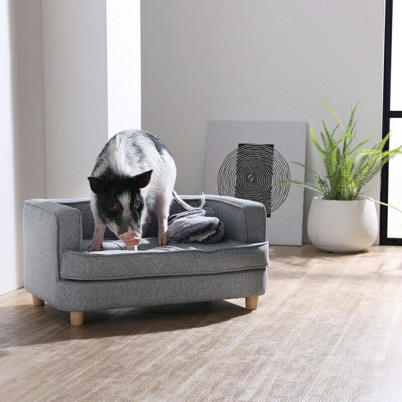 楽天市場】【公式】犬 猫 ソファ クッション 取り外し 洗える おしゃれ