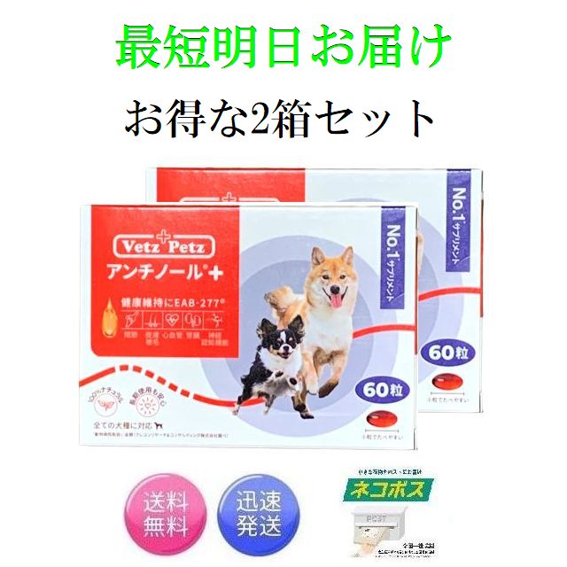 アンチノールプラス 60粒 2箱セット 犬さんもOK 【公式通販】