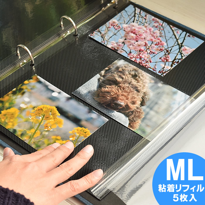 楽天市場】PDフォトアルバム 【ML(A4)サイズ用 粘着リフィル5枚入り