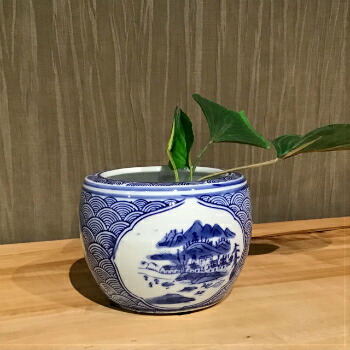 楽天市場】火鉢 水鉢 睡蓮鉢 すいれん鉢 メダカ鉢 金魚鉢 陶器 ハス鉢