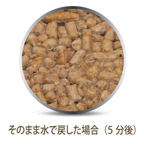 楽天市場】Feline Natural フリーズドライ ラム＆キングサーモン(320g