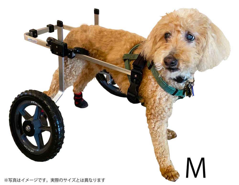 RIOL23 トイプー4輪リハビリ 食事補助 犬用車椅子 介護 犬の歩行器
