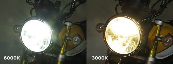 楽天市場】PROTEC プロテック LEDマルチリフレクターヘッドライト