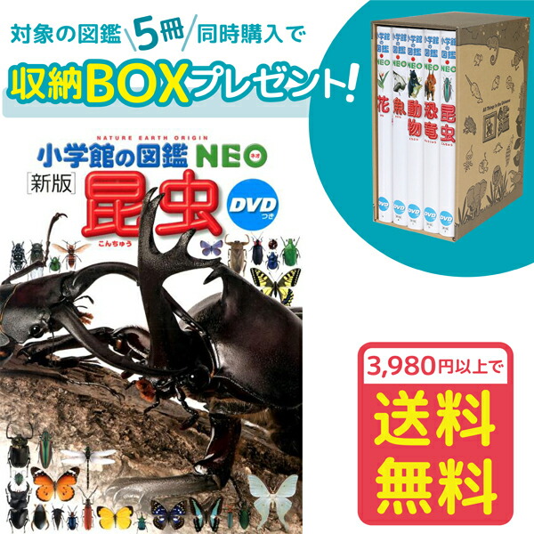 楽天市場】【収納BOX付・送料無料・条件有】小学館の図鑑NEO［新版