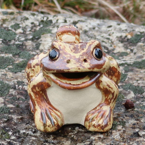楽天市場】信楽焼 3号蛙 口あき蛙 縁起物カエル お庭に玄関先に陶器蛙