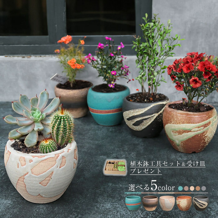 青花満工六方鉢 盆栽鉢 植木鉢 多肉植物鉢 小品盆栽鉢 山野草