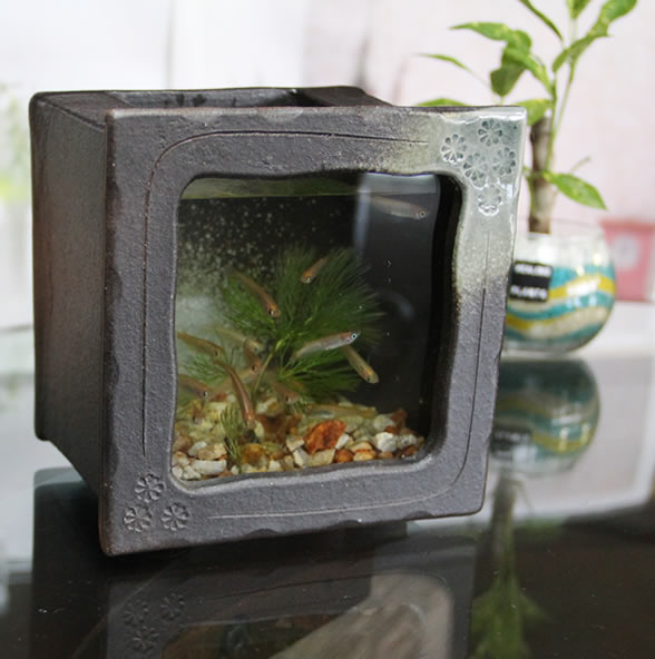 楽天市場】【今だけ限定10%OFFクーポン配布中】信楽焼 水槽 角型小