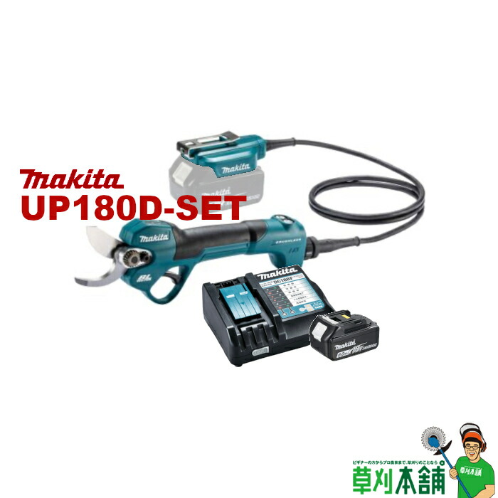 m*a様 貝 まとめ売り m*a様 貝 まとめ売り m*a様 貝 まとめ売り ZX