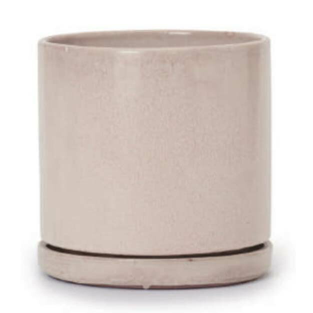 D194】ポーセリンフローライト Aタイプ ヤオガンシャン 原石 鉱物 標本