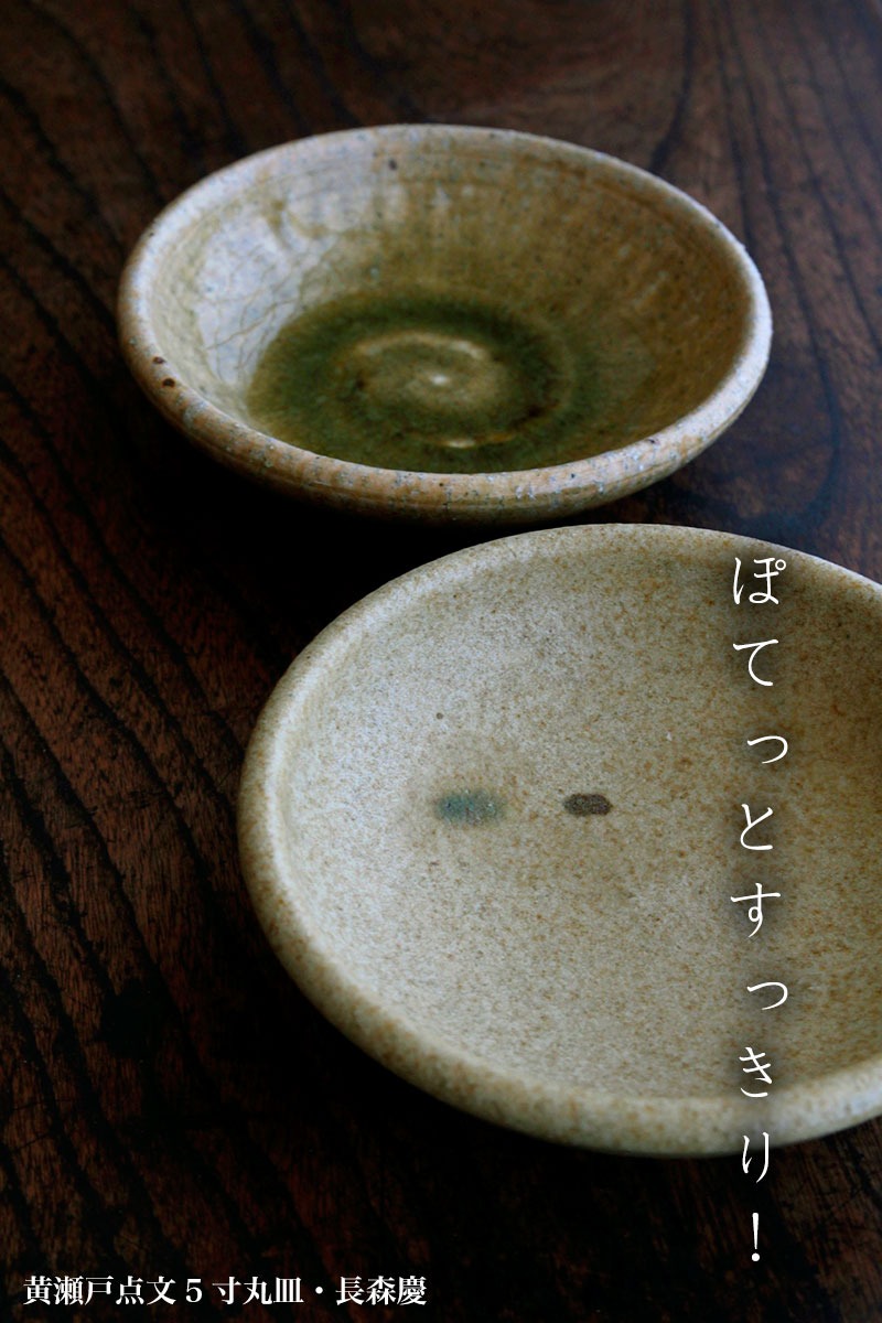 楽天市場】黄瀬戸：点文5寸丸皿・長森慶《小皿・16.5cm》 : 和食器の