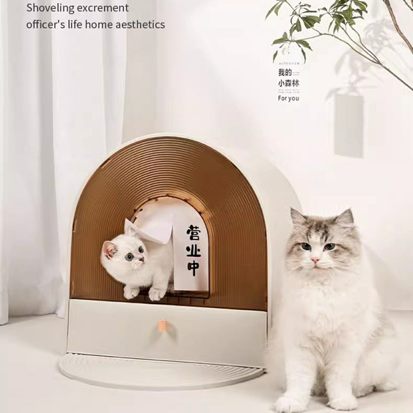 楽天市場】【20%OFFクーポン】猫トイレ ドーム型 猫トイレ本体 大型