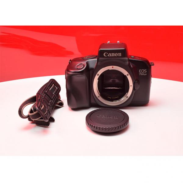 初心者用の一眼レフカメラ専門館TSS / Canon EOS 750QD キャノン!