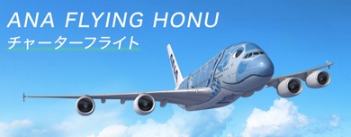 ANA、A380「FLYING HONU」遊覧飛行を2022年2月に成田発着で実施