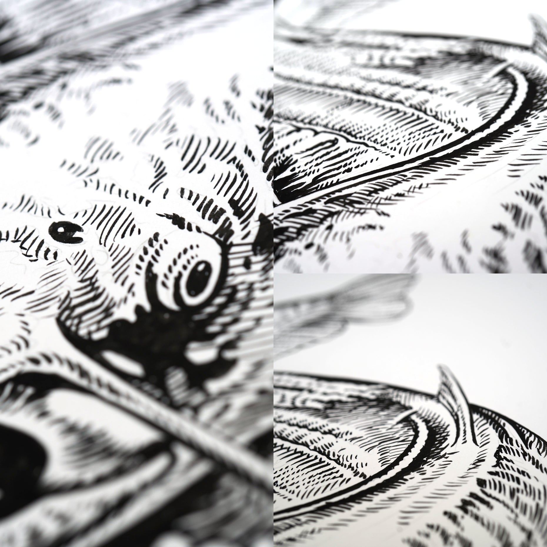 大ナマズ」原画 – Susumu Uchida