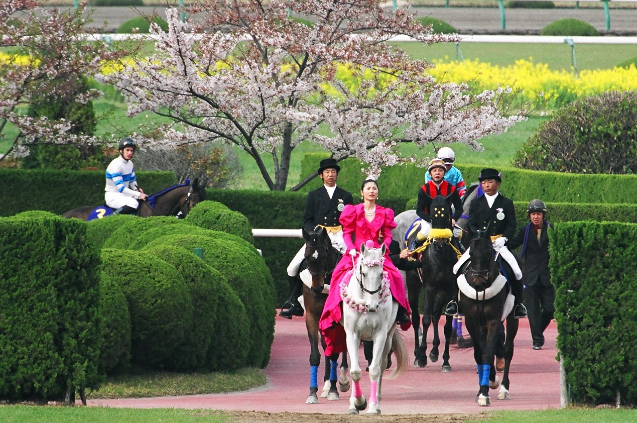 JRA 競馬 馬写真（額入り） 満花 JRA 競馬 馬写真（額入り） 満花