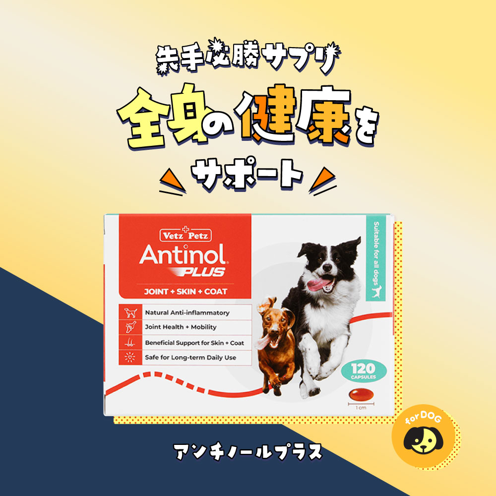 アンチノールプラス120カプセル通販｜サプリメント｜犬｜ペットのお薬