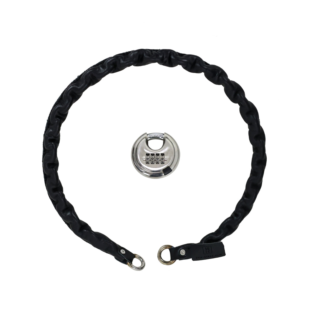 希少 骨董品 ライオンのチェーンロック 希少 骨董品 ライオンの