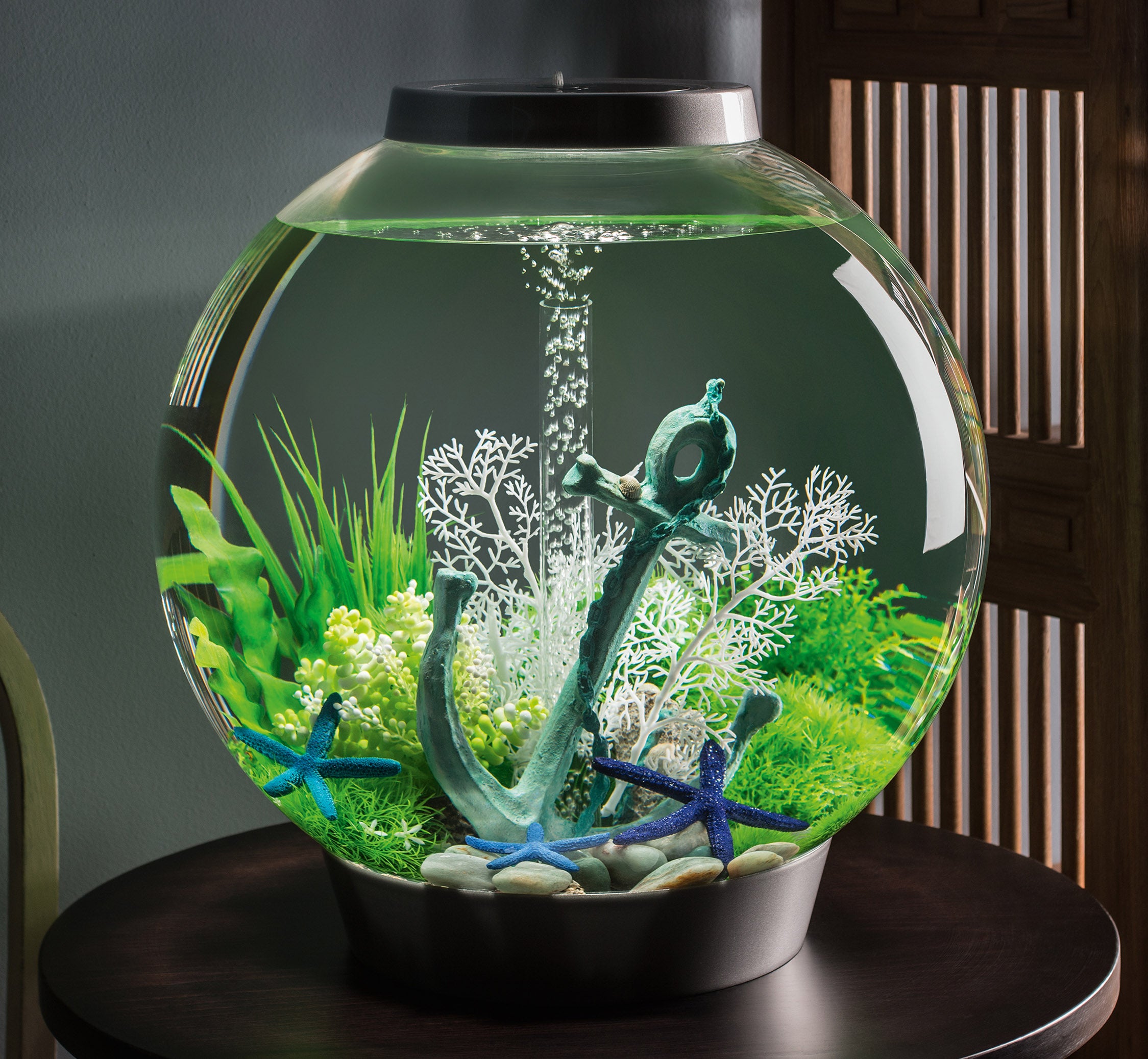 CLASSIC 15 Aquarium with Standard Light - 4 gallon – biOrb