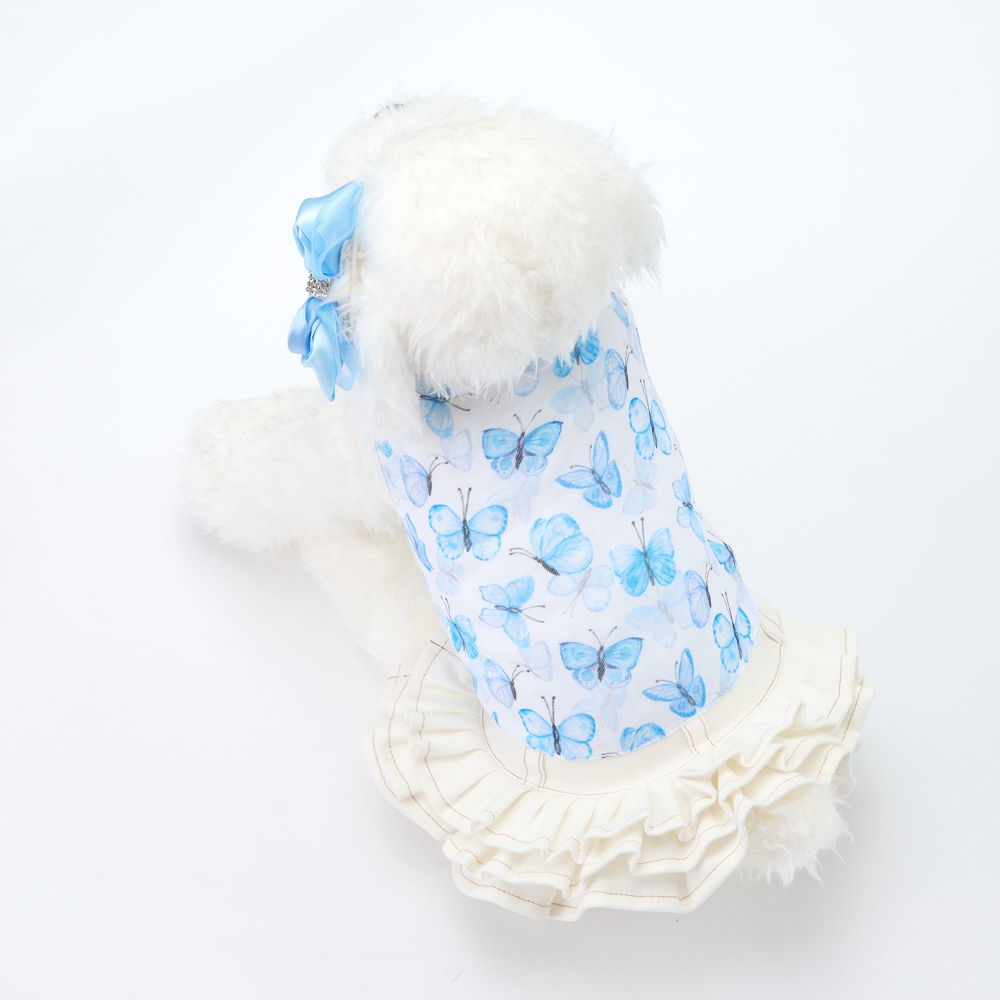 2025春夏新作コレクション】 – DOG＆CAT LUXURY FASHION