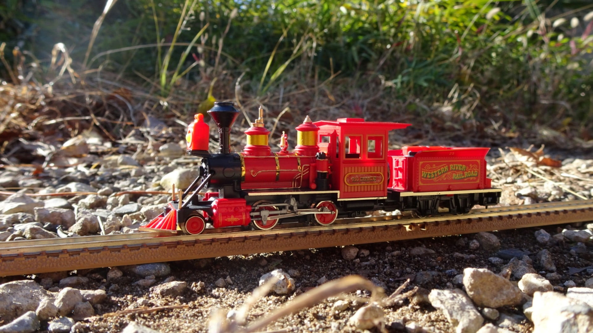 東京ディズニーランドウエスタンリバーレールロード機関車リオグランデ