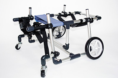 犬用4輪歩行器-犬用歩行器車いすオーダーメイド製作・販売 わんワーク