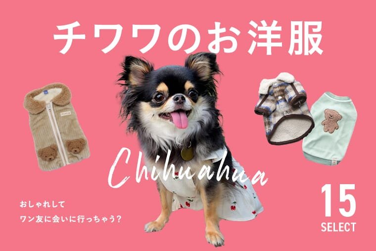 犬服 3S わんこの普段着グラフィック