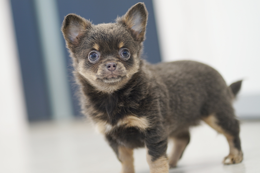 S様 リクエスト 2点 まとめ商品 ZX様 リクエスト 2点 まとめ商品