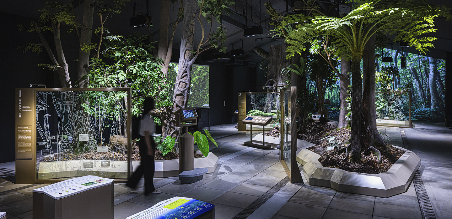 work5 | 合同会社わくわくデザイン