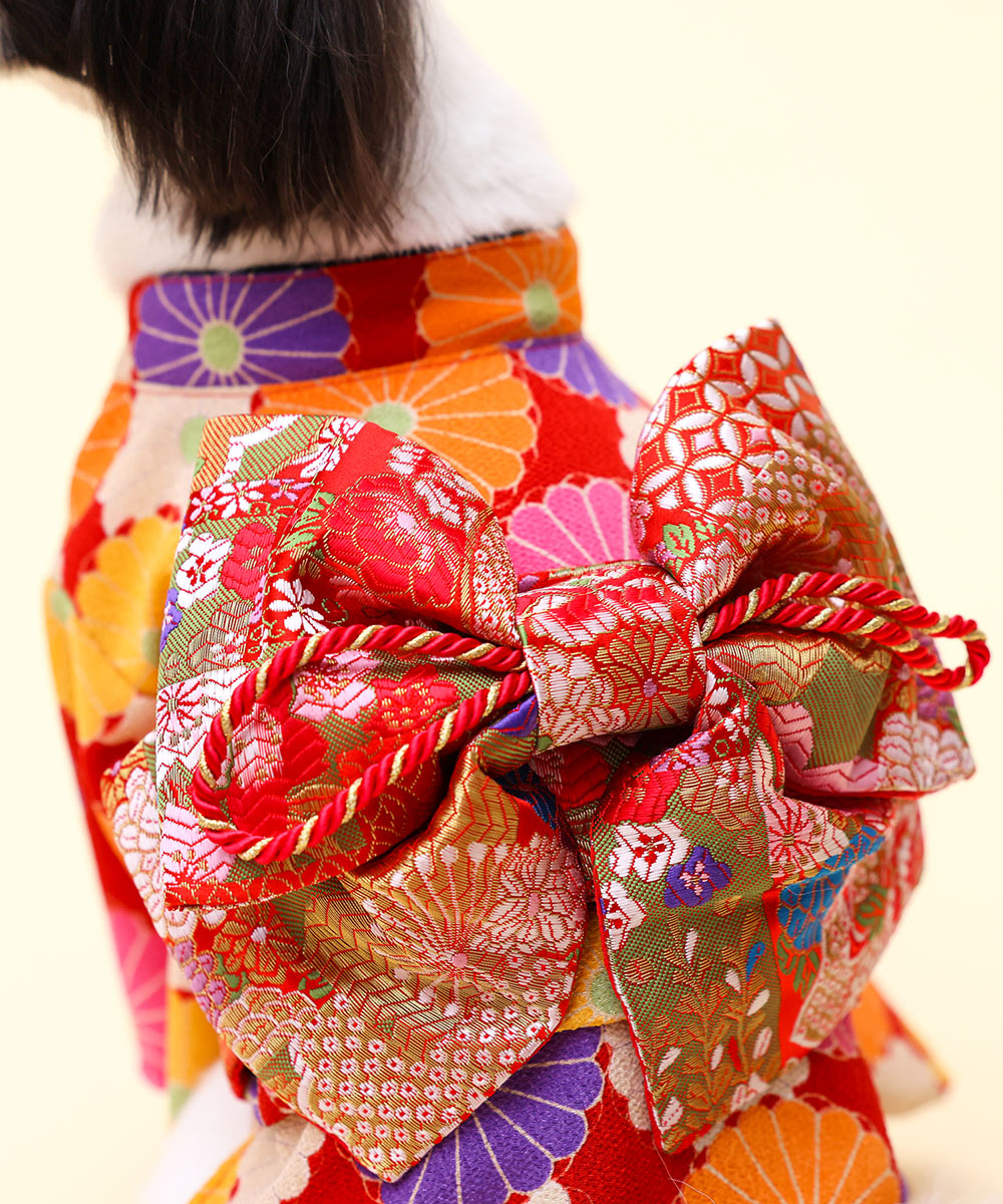 犬のお振袖 女の子の着物 犬と生活｜七五三、お正月や記念撮影に。小型