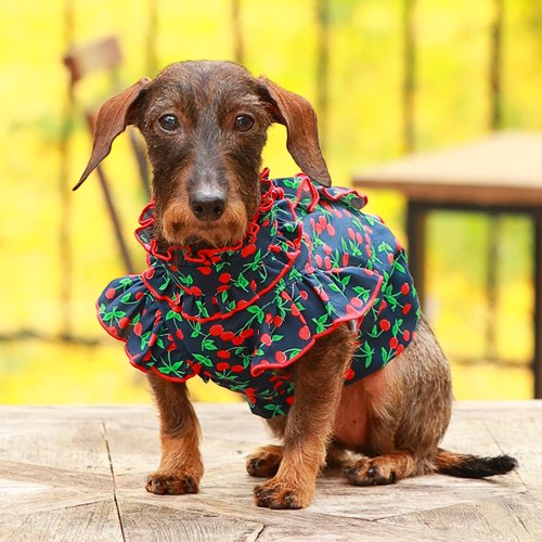 犬服 SS わんこの普段着 ピンクのさくらんぼ 犬服 SS わんこの普段着