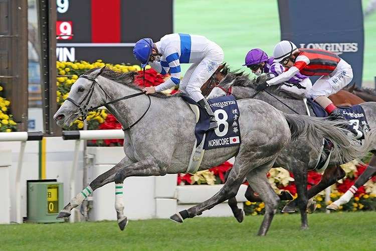 LONGINES 香港 国際競走 競馬 ブルゾン 美品｜香港賽馬會 HKIR 香港