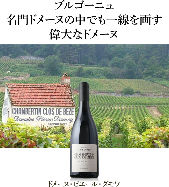 ブルゴーニュ・ルージュ ドメーヌ・ピエール・ダモワ 2018年 フランス
